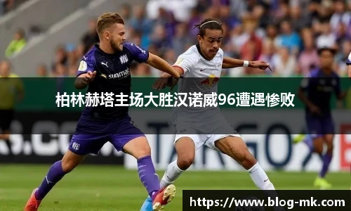 mk体育官网