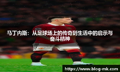 mk体育