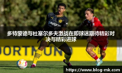 mk体育平台